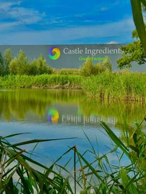 Castle Group